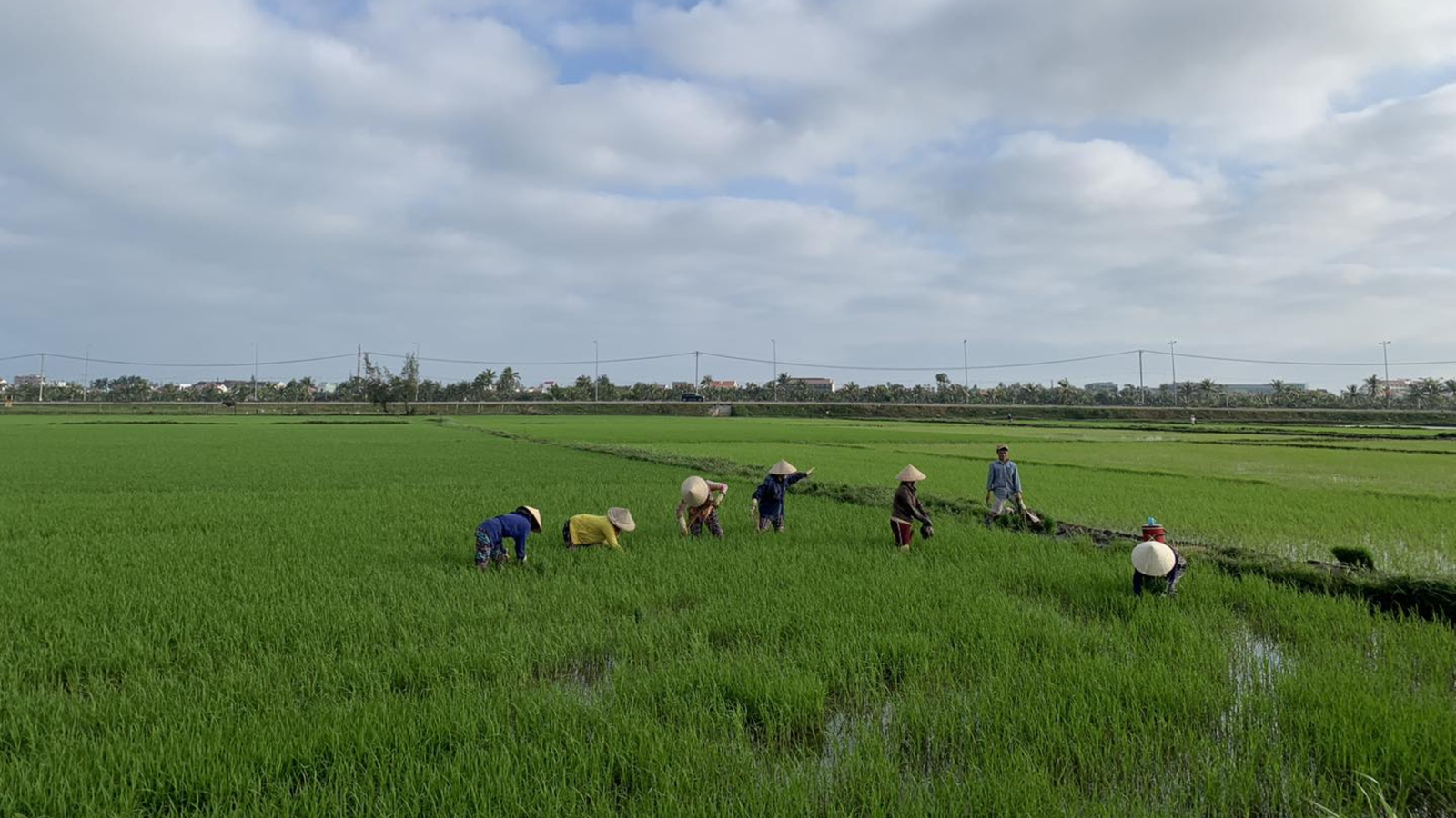 Tour chào buổi sáng Hội An (2)